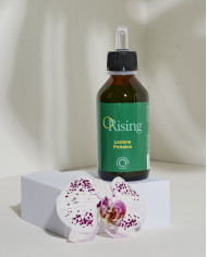 Orising Energetic Composition D