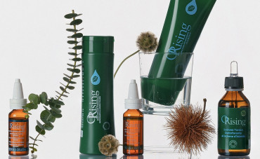 Vestibulum at orci aliquam